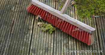 Cleaning expert's 'best way' to kill off patio moss in five minutes