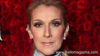 Celine Dion's twins, 14, look way beyond their years in unbelievable new family photo