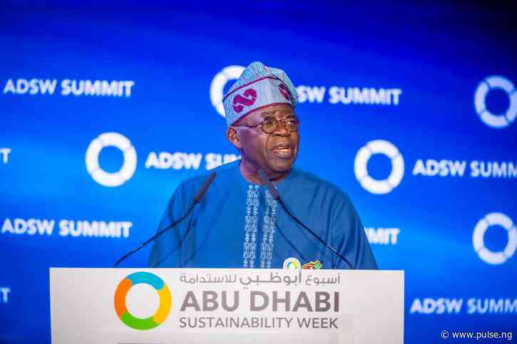 Here’s everything Tinubu said at the 2025 Abu Dhabi Sustainability Week in UAE