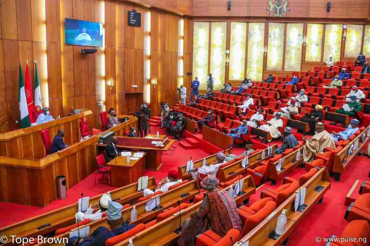 NASS calls ₦11.8bn livestock budget too low to address Nigerians' yearnings