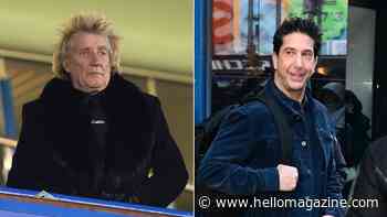 David Schwimmer admits he once served Rod Stewart divorce papers