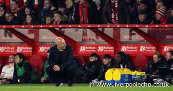 Arne Slot targeted by Nottingham Forest taunts as Alexis Mac Allister fumes at referee