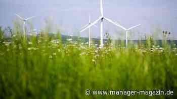 Windkraft: Rekordzahl an Windrädern genehmigt - Branche zieht positive Bilanz