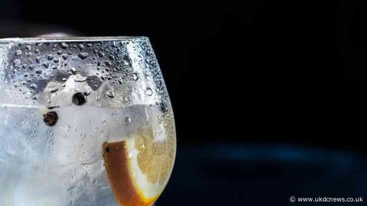 Gin Company seen on Dragons Den, collapses with Business debts