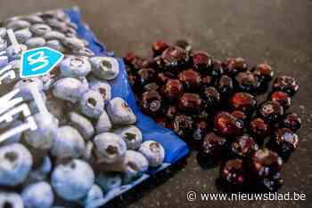 Twintig zieke mensen melden zich bij Albert Heijn in Nederland na eten blauwe bessen, klant dient schadeclaim in