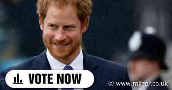 Should the taxpayer be funding Harry’s police protection? Take our poll and have your say