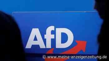 Regierung: AfD-Aktion mit „Abschiebetickets“ „geschmacklos“