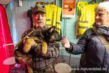 Dierenvoedselbank Poezewoef: “Huisdieren zijn de beste therapeuten”