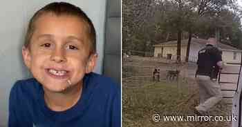 Dog attack horror as boy, 8,  'maliciously mauled' to death by two loose animals