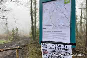 Stuk van populaire Lovenhoekwandeling dicht voor werken: “Heel tracé waarschijnlijk pas binnen jaar weer toegankelijk”