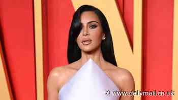 Kim Kardashian gets slammed by veteran actor for pushing her agenda during LA fires