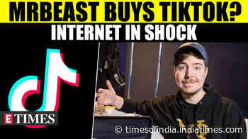 MrBeast's Plan To Buy TikTok Sends The Internet Into A Frenzy; Mixed Reactions Emerge Online | WATCH