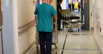 'Patients stripped of their dignity and shoved in places to die' nurses shock Welsh hospitals' report