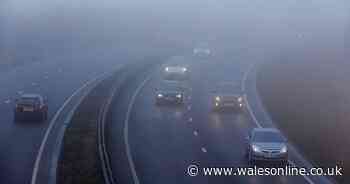 Met Office issue key tips for driving in fog as travel chaos expected today