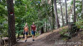 Fünf der schönsten Wanderwege im Pfälzerwald