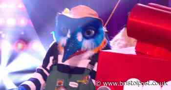 ITV The Masked Singer UK Kingfisher identity 'uncovered' as star lets slip clue