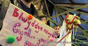 Parents calling for new Welsh medium school in Cardiff gather at County Hall again