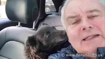 Eamonn Holmes reunites with his beloved dog Maggie after 'custody battle' with estranged wife Ruth Langsford