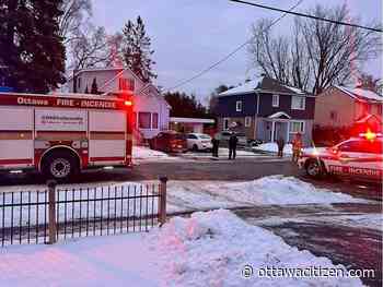 Ottawa firefighters save cat, put out apartment fire