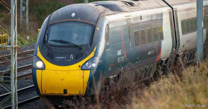 UK rail firms urged to issue ‘yellow card’ warnings to ticketless passengers