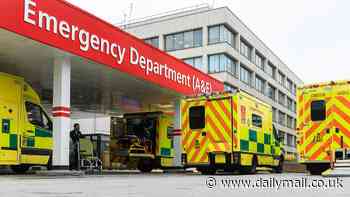 How bad are A&E delays at YOUR local hospital? Use our exclusive search tool to find out - as NHS services approach full capacity