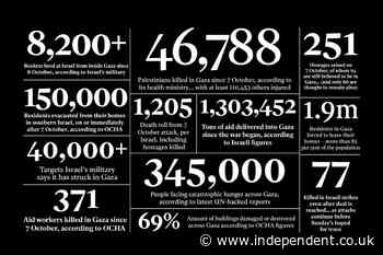 The terrible cost of peace between Israel and Hamas: In numbers