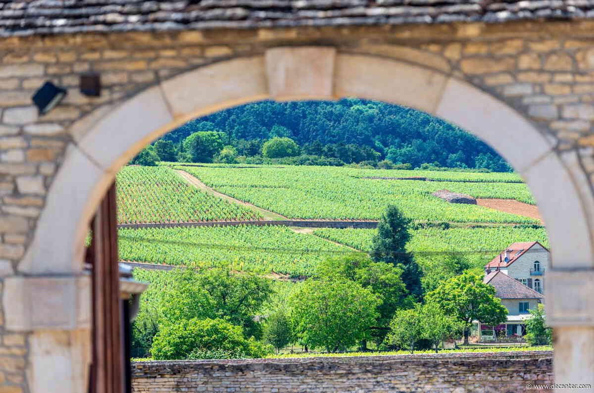 Wine investment: Top-tier Burgundy prices soften