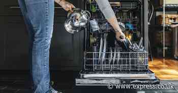 Clean dishwasher and leave it sparkling and odour-free with one natural ingredient