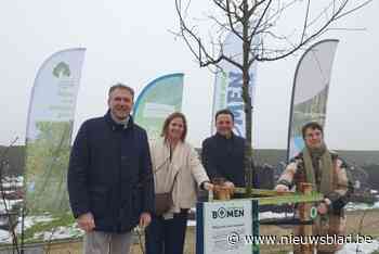 Tienduizendste klimaatboom staat in Neerglabbeek