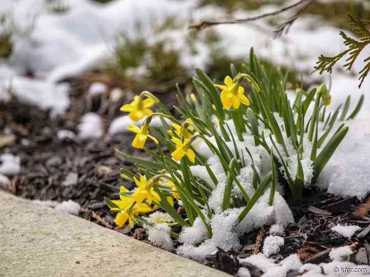 Will spring come early? NOAA releases weather predictions for every state