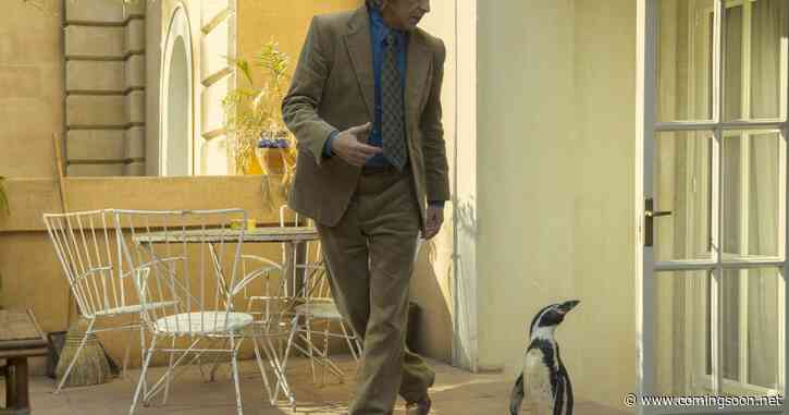 The Penguin Lessons Release Date Set for Steve Coogan Movie