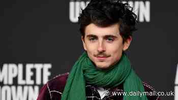 Timothée Chalamet dazzles in an eye-catching emerald scarf at Italy premiere of A Complete Unknown just days after his Lime e-bike stunt that went viral on social media