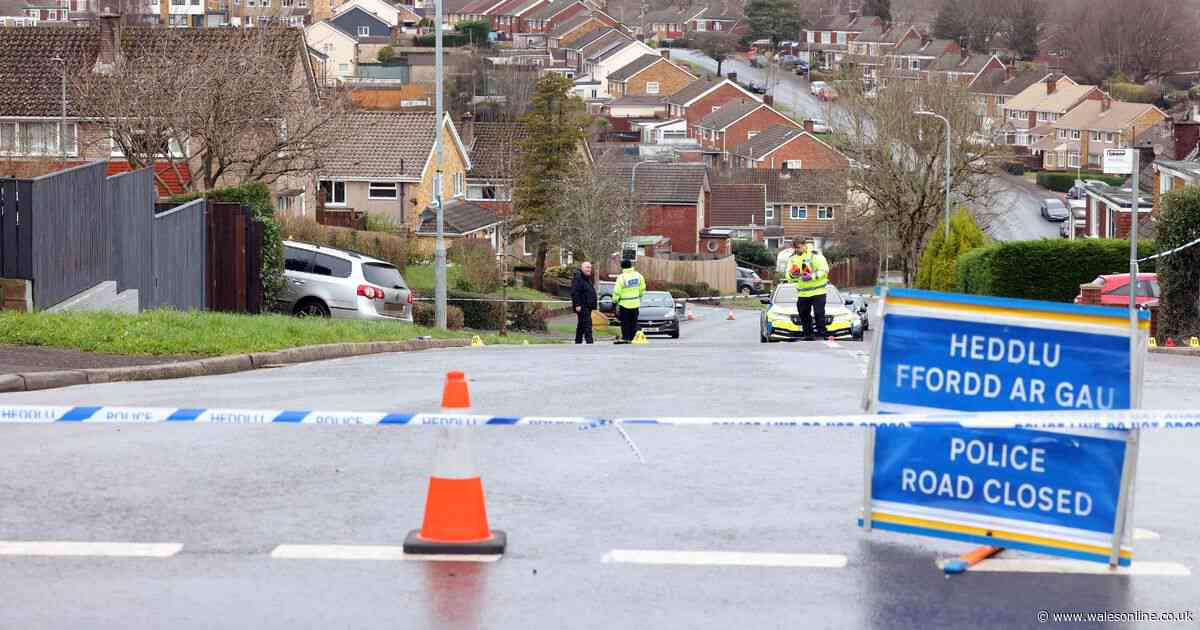 Man arrested after Newport crash where woman and dog were pinned under car