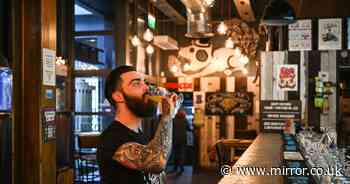 BrewDog pubs offering £1 pints for punters who say seven-word phrase next week