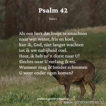 Berijming van Psalm 42