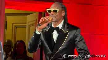 Snoop Dogg responds after fans panned his performance at Trump's Crypto Ball