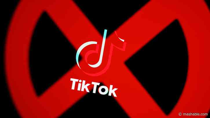 TikTok banned: Why you’re seeing a pop-up when you open the app