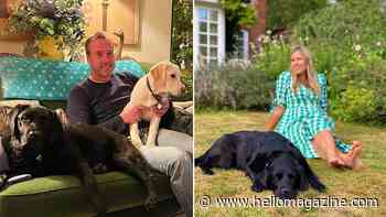 Ben Fogle's £2.2million Oxfordshire home is a rural oasis – best photos