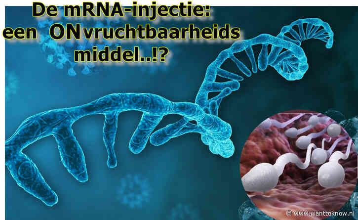 mRNA-spuit ondermijnt mannelijke vruchtbaarheid ..!