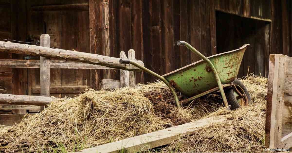 Hansen biedt Nederlandse boeren hoop