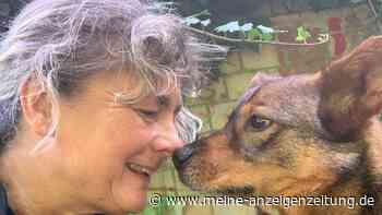 Nach vier Jahren im Tierheim: Hund Lucky bekommt ein Happy End