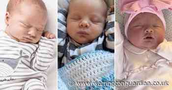 Did you welcome one of the 194 new arrivals in Warrington in December 2024?