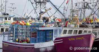 As Trump takes power, Atlantic Canadian seafood firms look to diversify export market