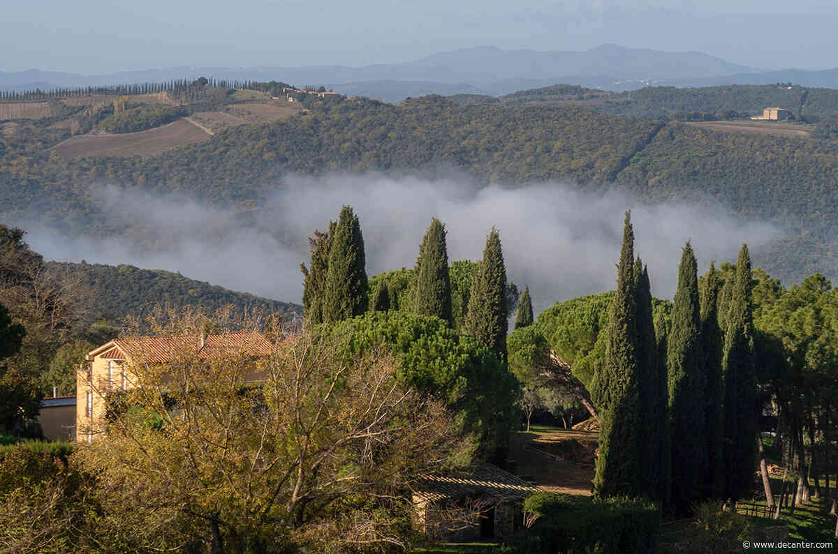 Brunello di Montalcino 2019 Riserva: 10 picks from a triumphant return to form