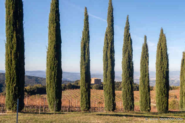 Brunello di Montalcino 2020: Vintage report and 20 top picks