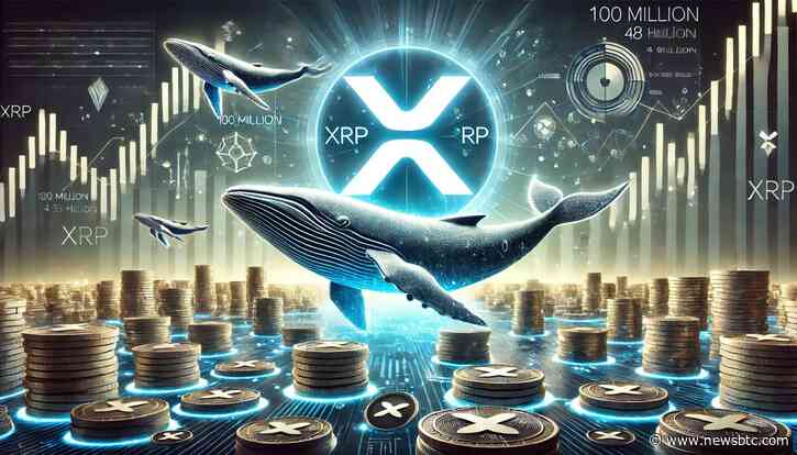 XRP Whales Keep Loading Up Their Bags – 100 Million XRP Accumulation In 48 Hours