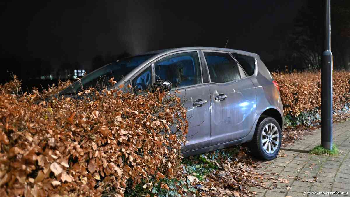 112-nieuws: auto in de bosjes gereden • bestelbusje tegen boom