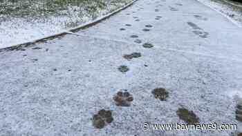 Winter storm brings snow and cold to Florida