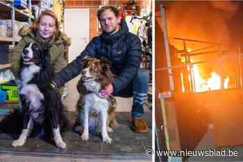 Honden Janis (9) en Lena (8) wekken baasjes bij uitslaande brand: “Zonder hen was dit erger afgelopen”