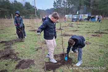 Leerlingen planten 650 bomen in Pelt: “Over 20 jaar kunnen ze met hun kinderen genieten van bos”